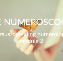 Cursus numerologie – module 2 – start vr 12 sept 2025