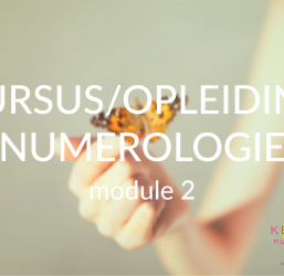 Cursus numerologie – module 2 – start vr 12 sept 2025