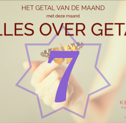 Alles over getal 7 – ma 7 juli 2025 online