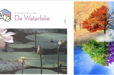Workshop Numerologie in de Waterlelie 27-6-2025